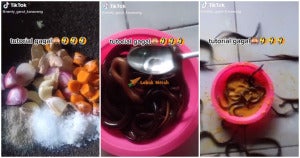 FEAT MASAK FINAL