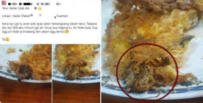 telur