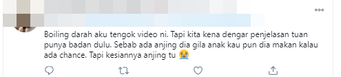 anjing2