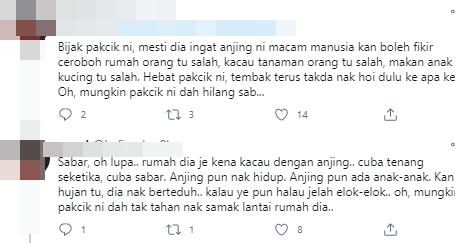 anjing4