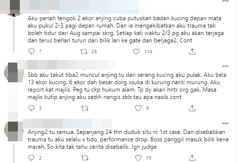 anjing5