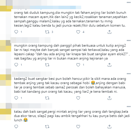 anjing7