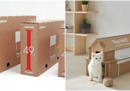 Cats 40