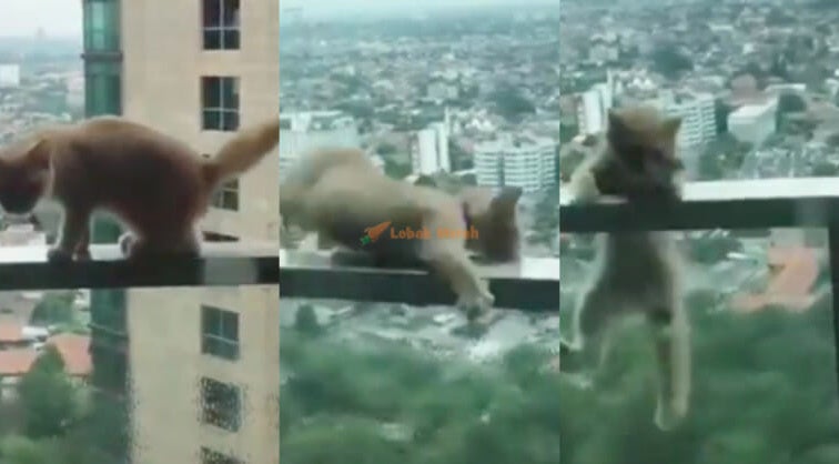 Screenshot 2020 12 26 at 12.42.20 PM