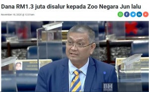 zoo