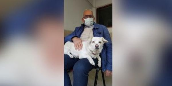 Good Girl Anjing Peliharaan Berkampung 6 Hari Depan Hospital Tunggu Tuan Discharge 1