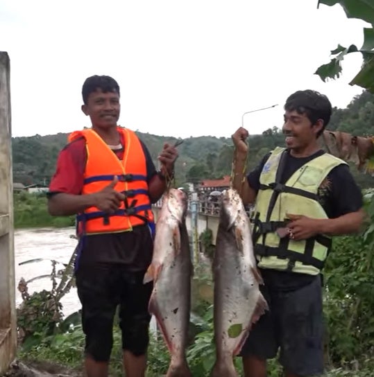 IKAN 2