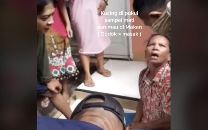 20210202081745 1 Viral Kucing Dipukul Sampai Mati Untuk Dimasak 001 Nurul Diva Kautsar