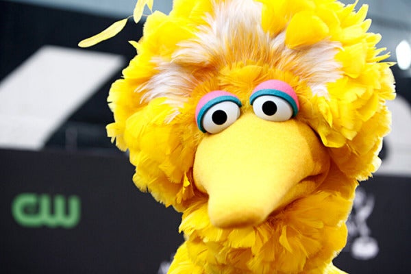 Big Bird E1612672664567