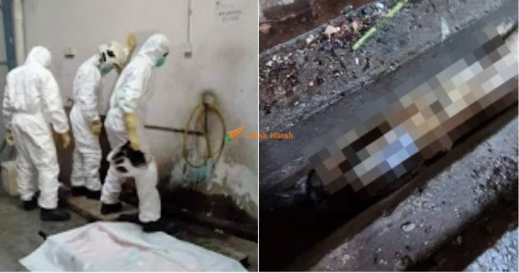 Screenshot 2021 02 12 at 1.58.07 PM