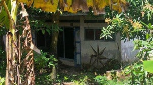 kampung 2