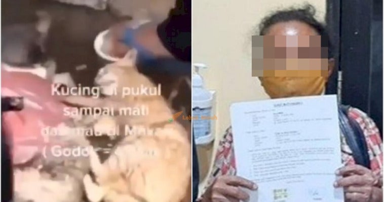 Terungkap Wanita Yang Pukul Kucing Untuk Dimasak Ternyata Penjual Daging Anjing26 700