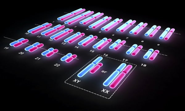 Chromosome E1615609099109