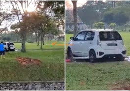 myvi terbang