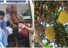 nangka