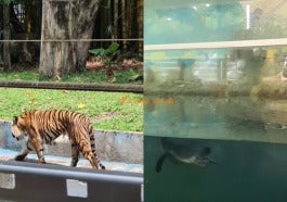 3zoo