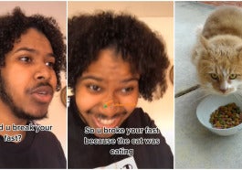 Cats 101