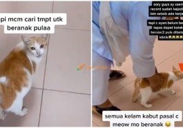 fi oyen