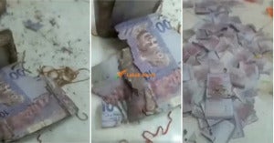 image 2021 04 08 164603