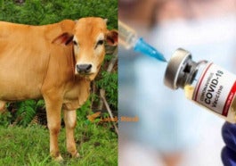 Feature 1 4 E1621753394548