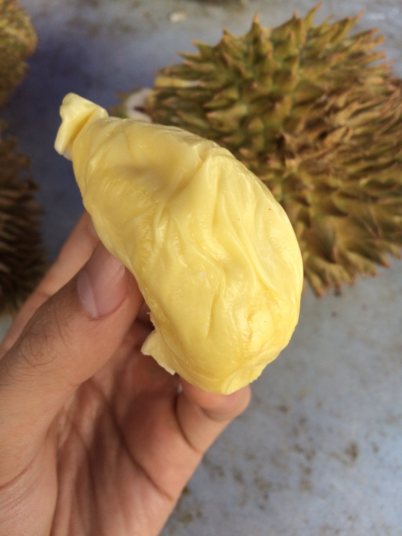 Durian2