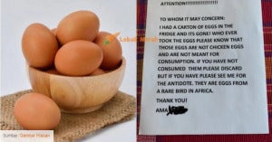 egg