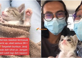 Cats 8