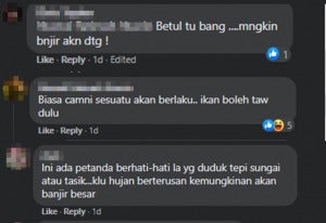 Fb Comment Ikan Puyu Naik Darat