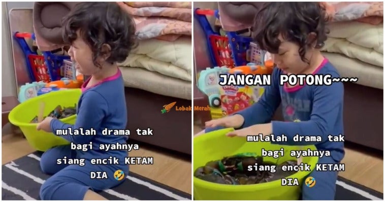 anak sayang ketam tak bagi bapa masak dan potong tiktok