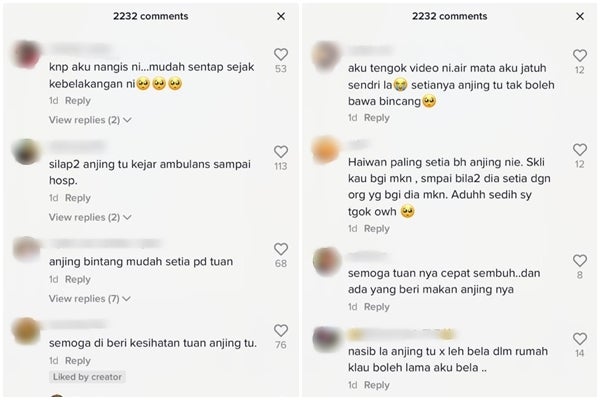 komen anjing