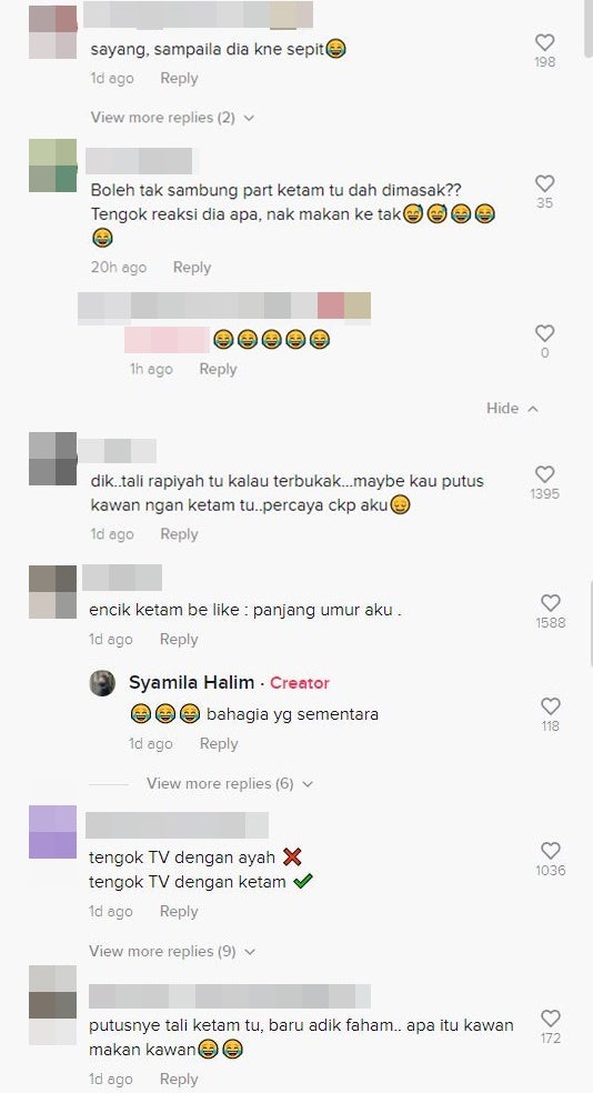 komen video tiktok ketam