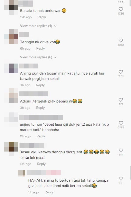 Anjing Masuk Dalam Kereta Komen