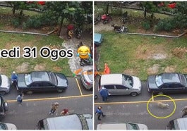 Tiktok Viral Anjing Masuk Dalam Kereta