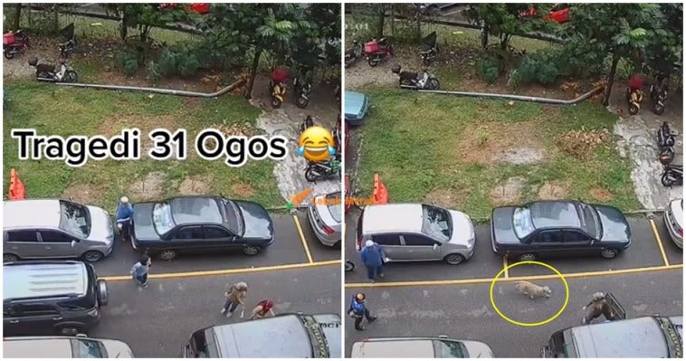 tiktok viral anjing masuk dalam kereta