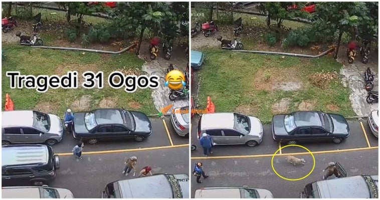 Tiktok Viral Anjing Masuk Dalam Kereta