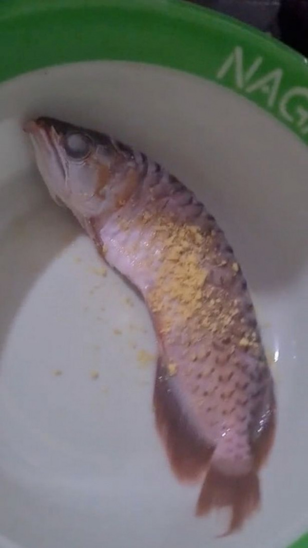 0 Tiktoker Deep Fries Husbands Beloved Pet Fish After He Refuses To Clean Tank E1633829431707