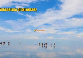 Cover 1