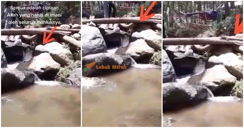 Mahkluk Air Terjun Ft Image