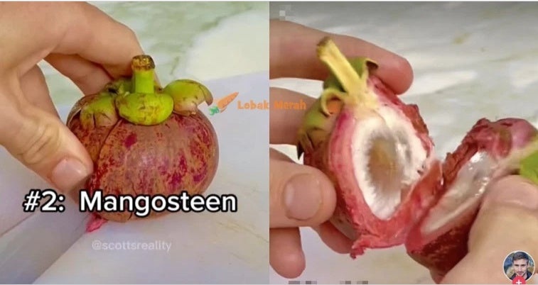 manggis