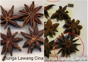 Bunga Lawang 2