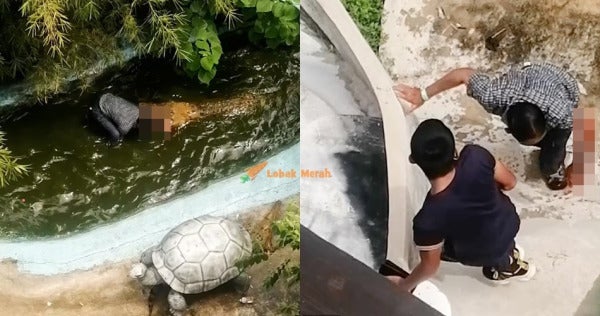 f1 aligator di filipina e1662183552154