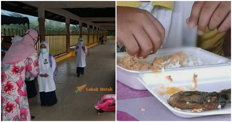 Fi Cikgu 3