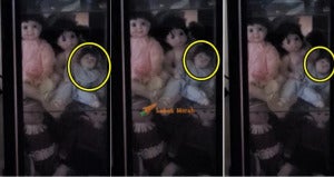 mcm annabelle 1