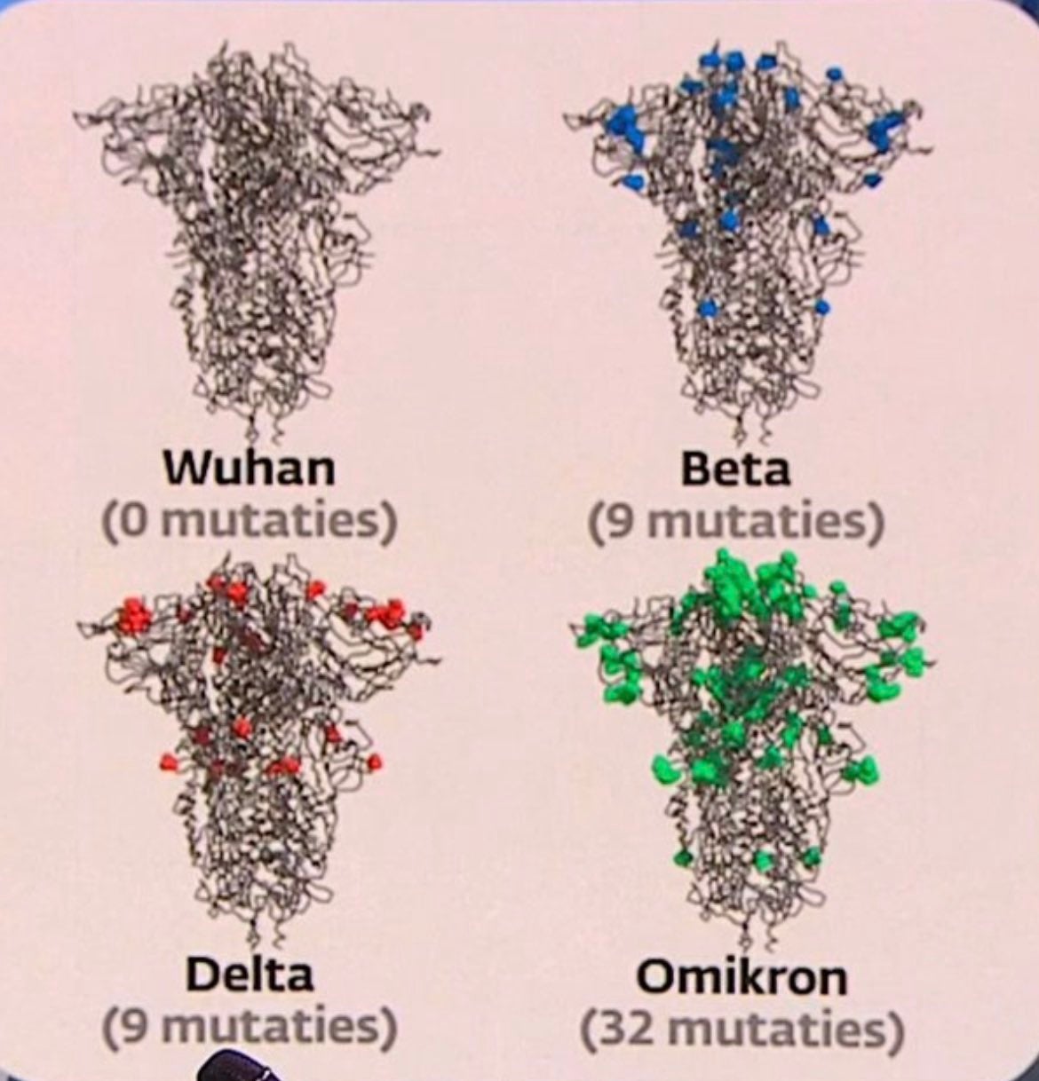 Spike Protein Omicorn