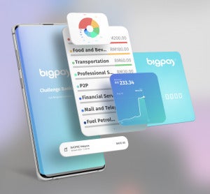 Bigpay Features