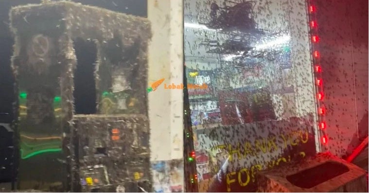 Screenshot 2021 12 07 At 2.04.21 Pm