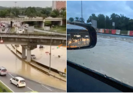 Collage 35