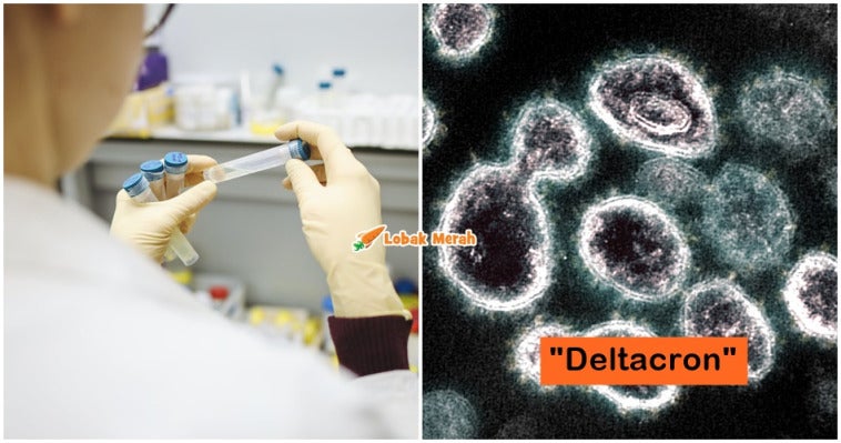 Deltacron Varian Baru