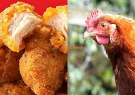 Kepala Ayam