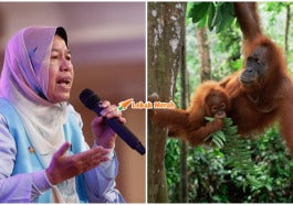 Orang Utan Bunuh Manusia Dulu Zuraida